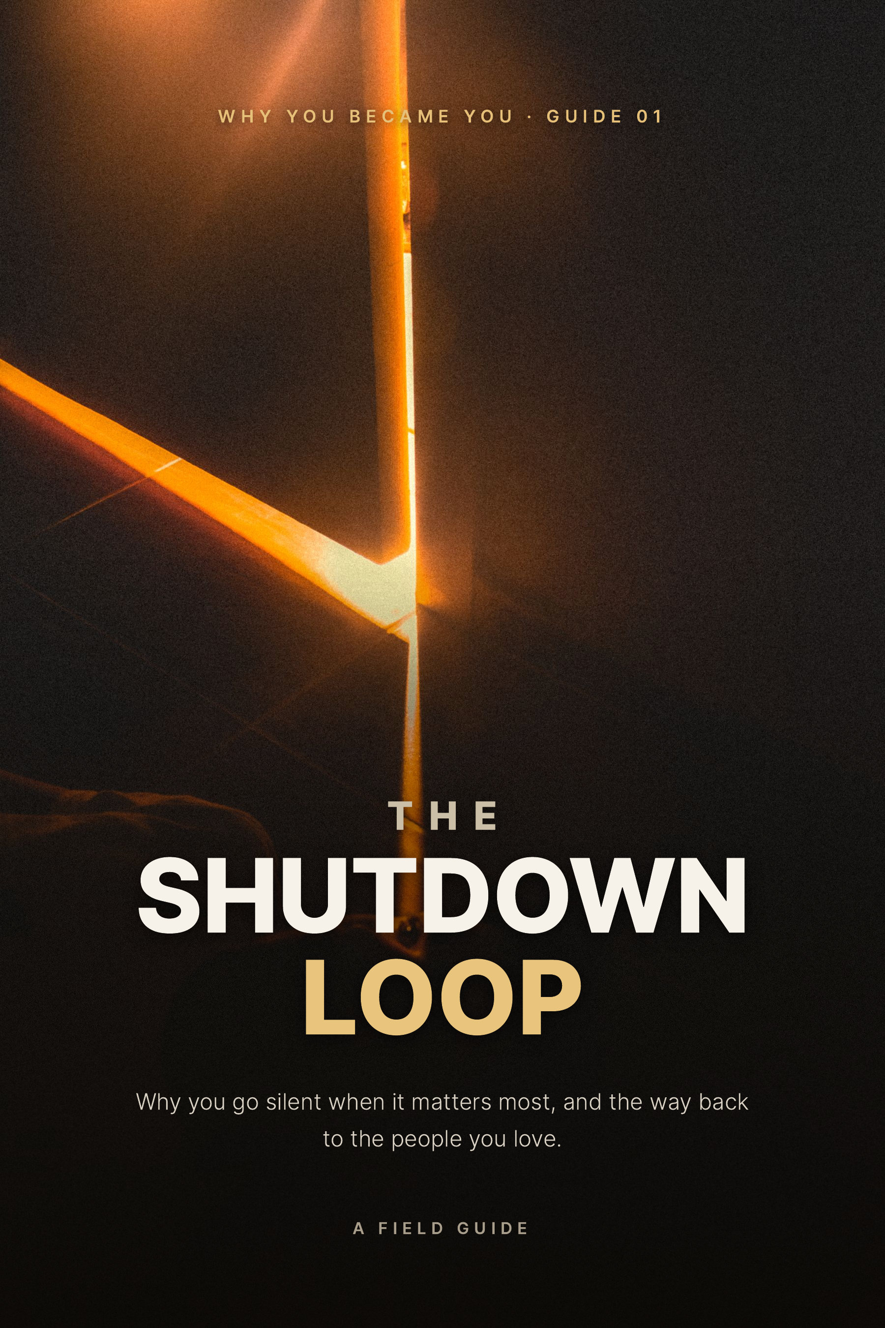 Cover of The Shutdown Loop